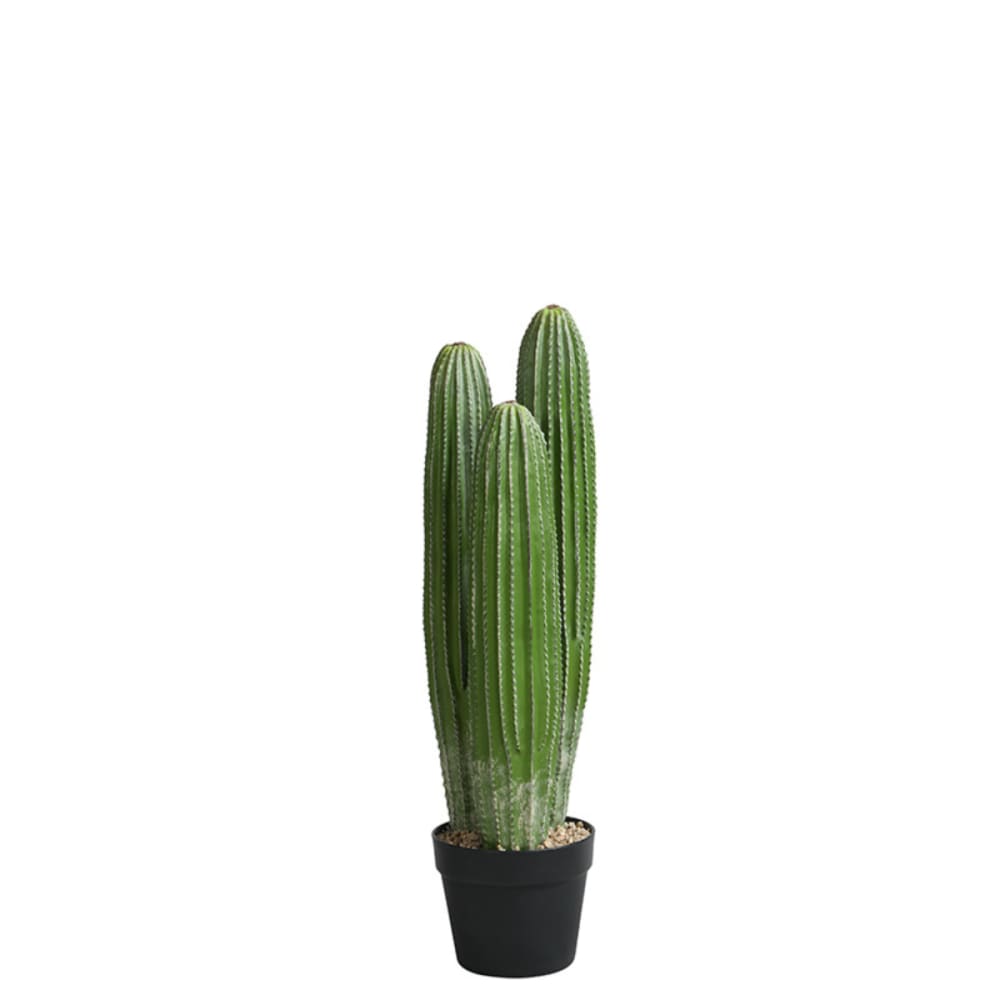 Cactus en pot artificiel