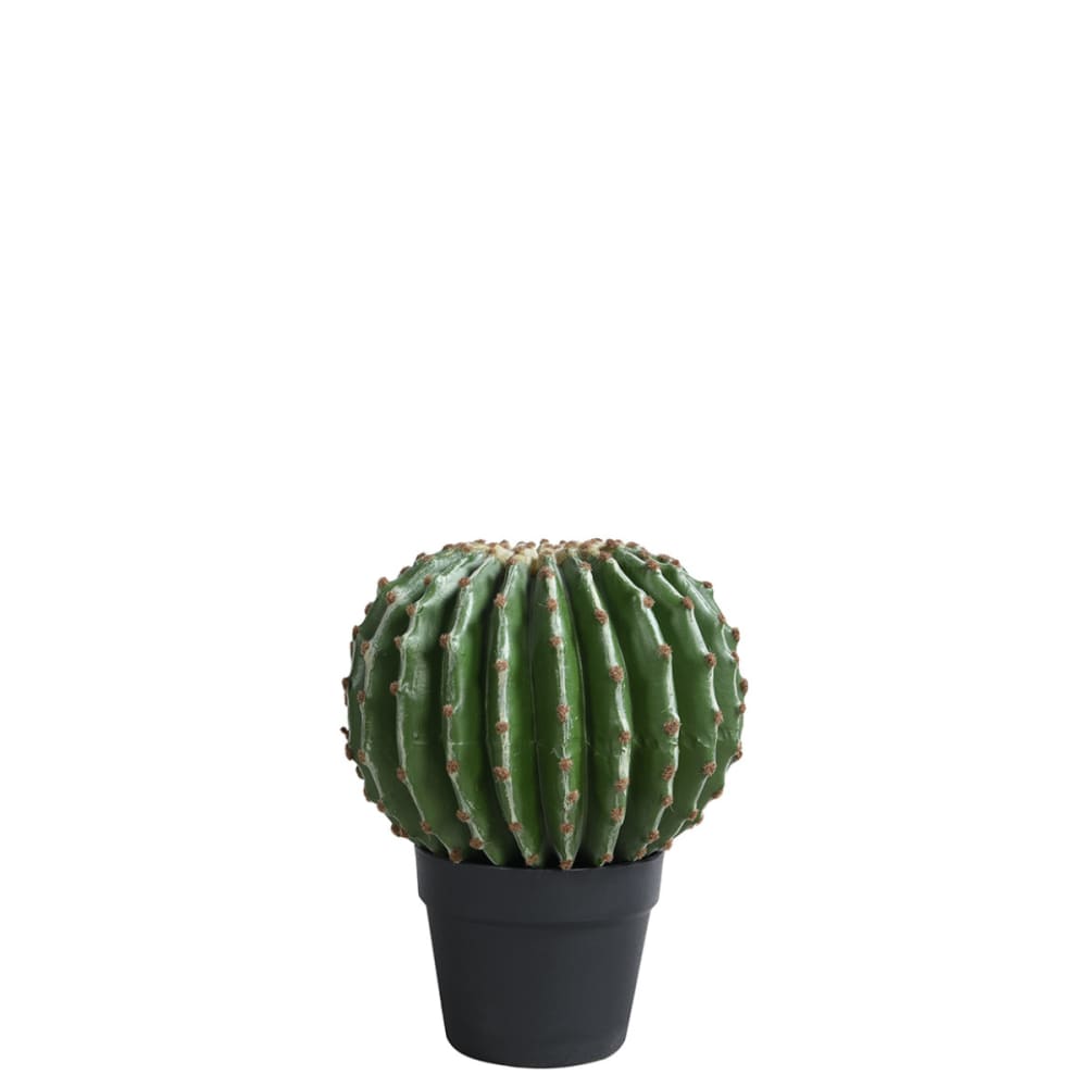 cactus en pot artificiel