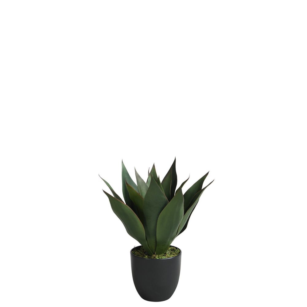 Agave en pot artificiel