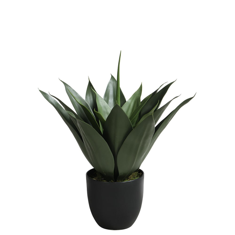 Agave en pot artificiel