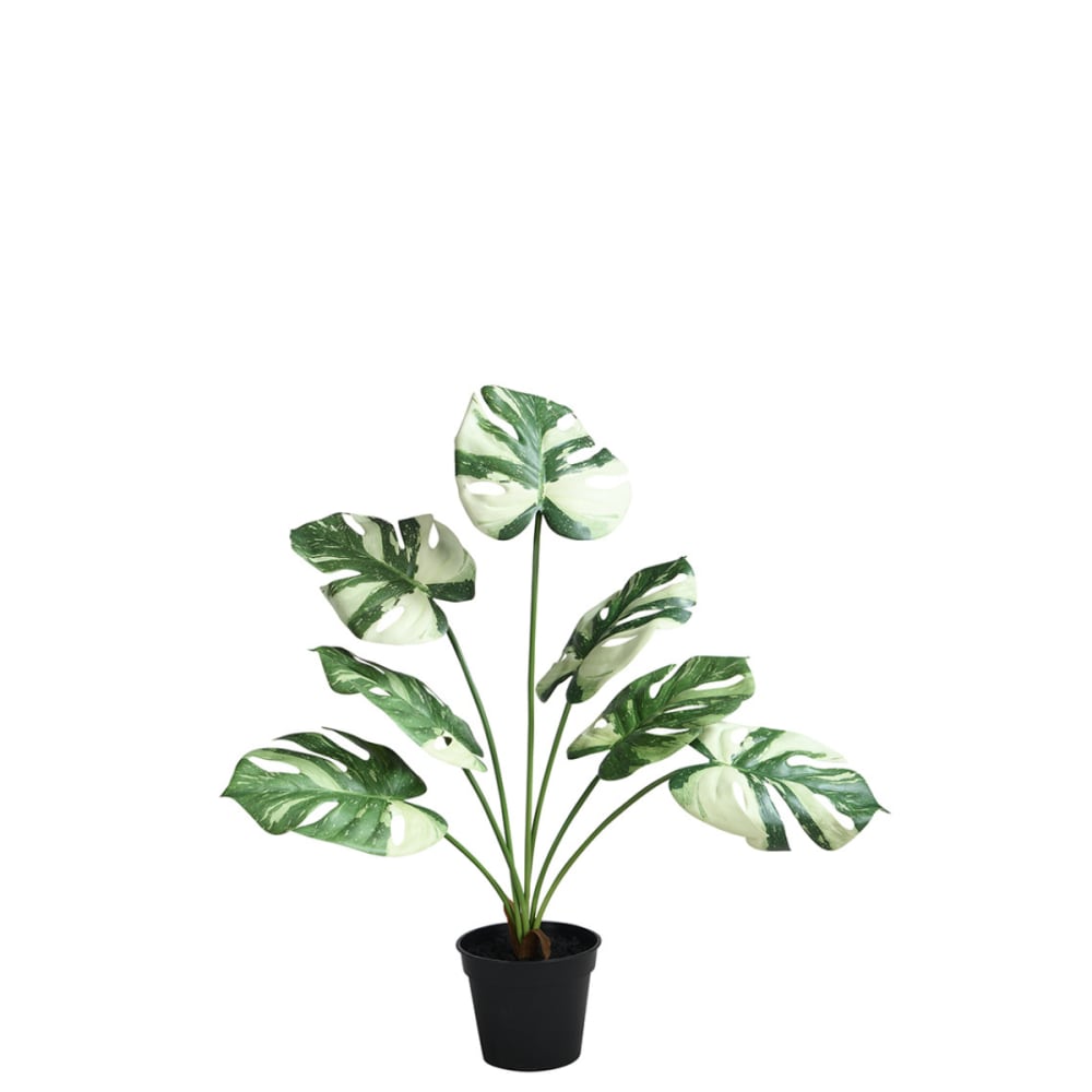 Monstera en pot artificiel vert h57