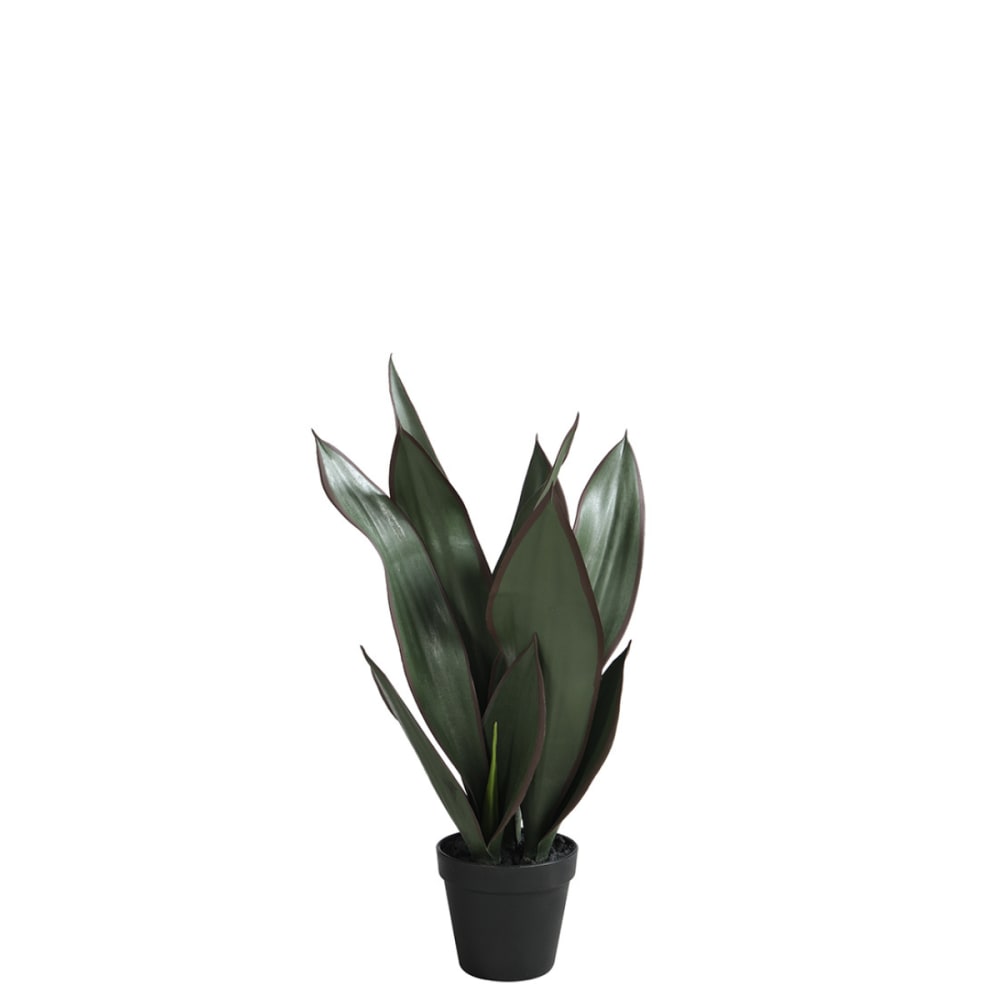 Sansevieria en pot artificiel vert h49