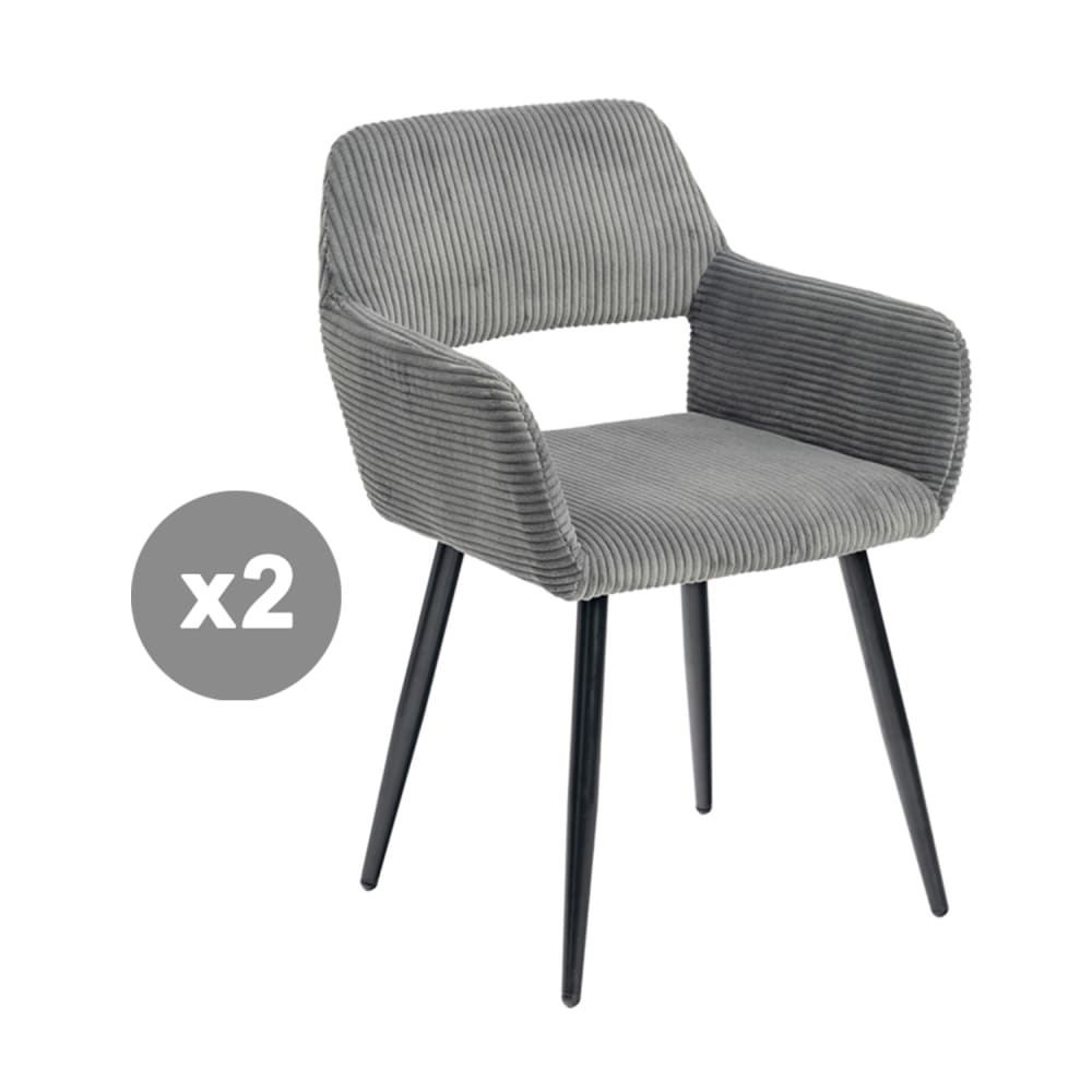 Lot de 2 chaises rembourrées