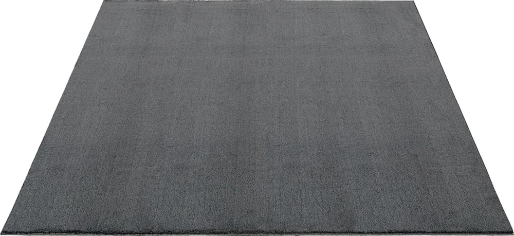 Tapis lavable et antidérapant, anthracite, 240 x 240 cm — vue 4