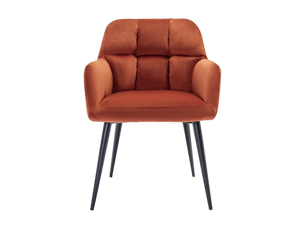 Lot de 2 chaises polyester