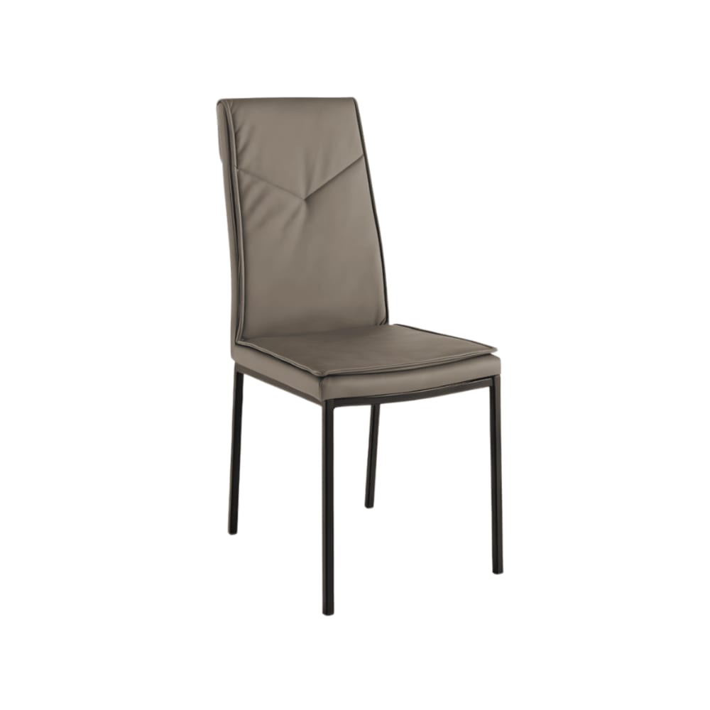 Lot de 2 chaises gris - 100