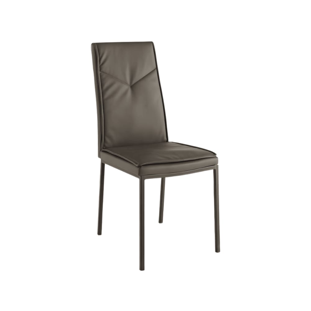 Ensemble de 2 chaises