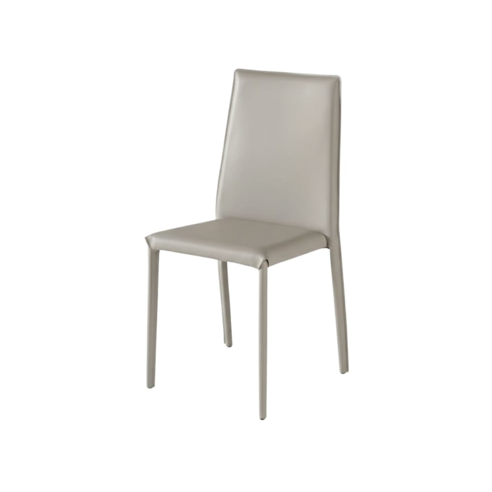 Ensemble de 2 chaises
