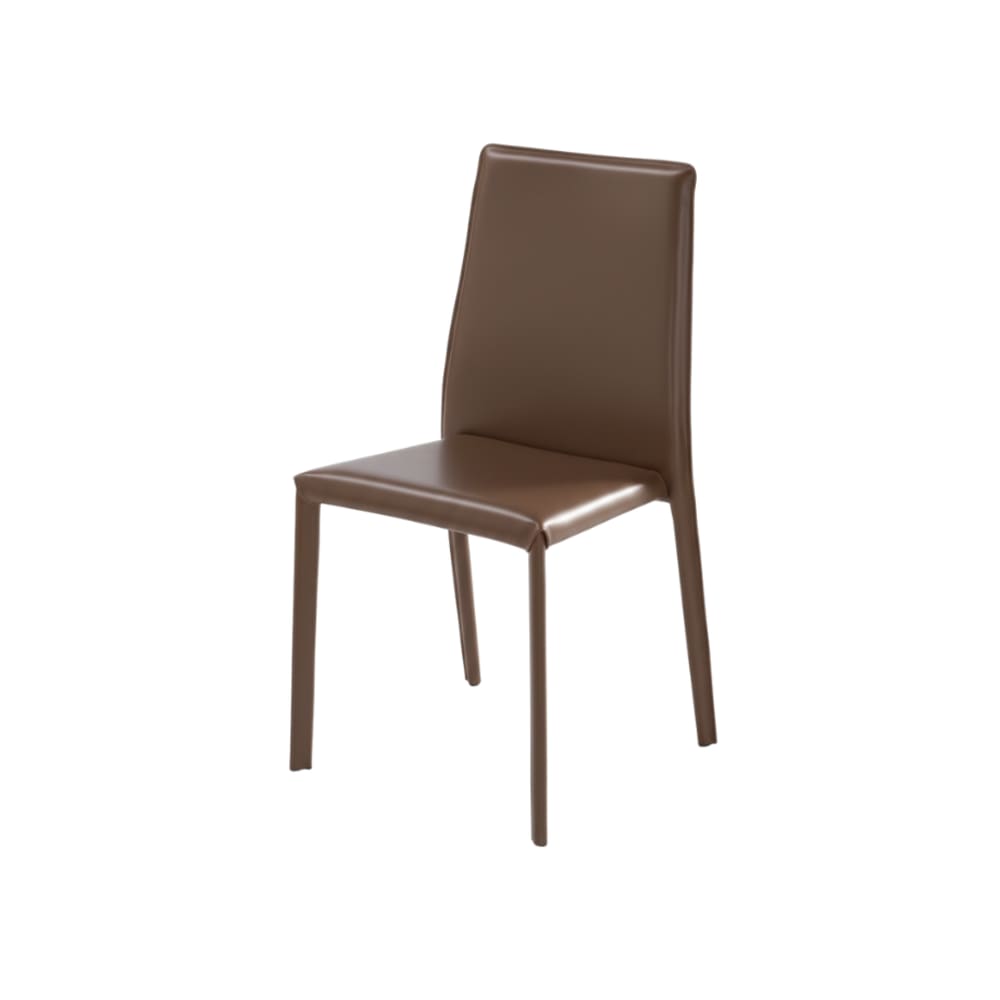 Ensemble de 2 chaises