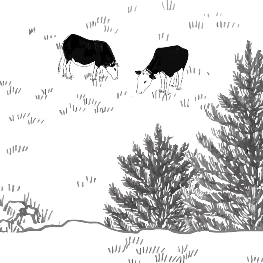 Papier peint panoramique - Noir et blanc - intissé - 7 lés : 336x270cm — vue 4