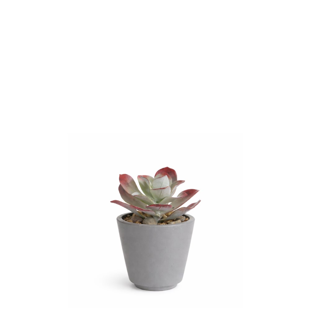 Succulente en pot artificielle rouge foncé et verte h15