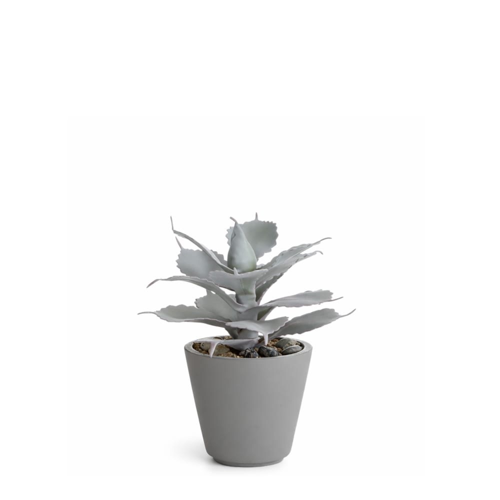 Succulente en pot artificielle rouge blanchie h23