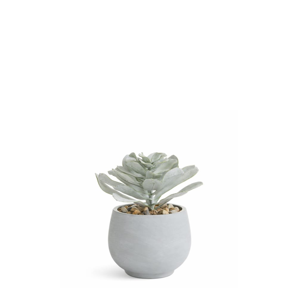 Succulente en pot artificielle verte blanchie h21