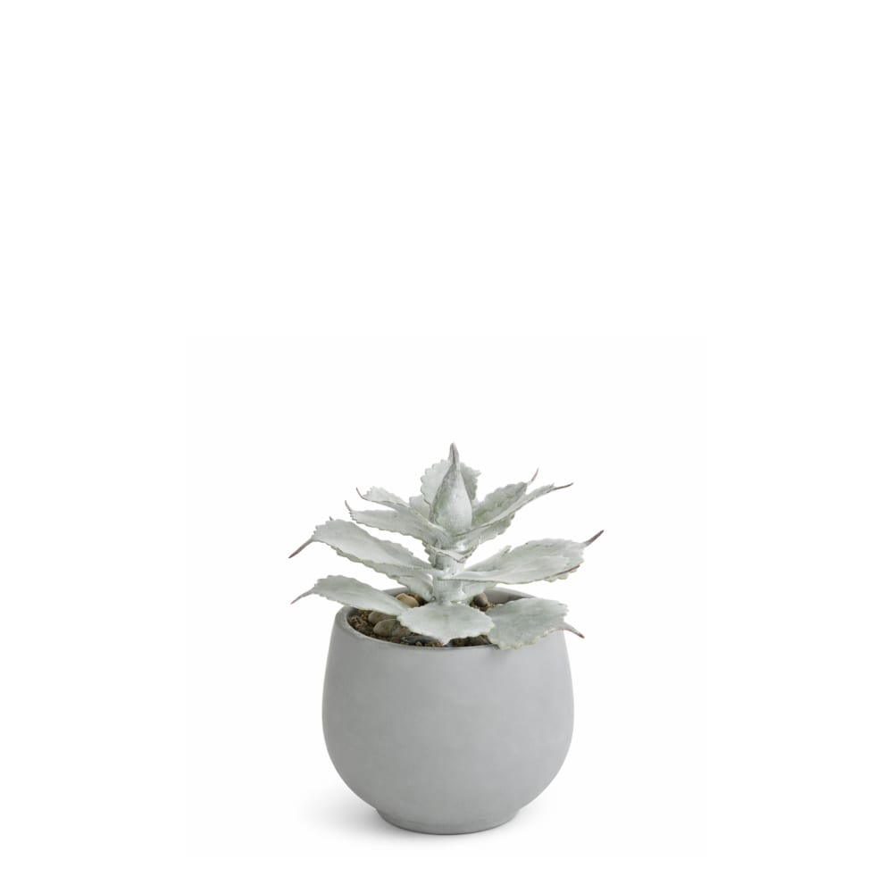 Succulente en pot artificielle rouge blanchie h21