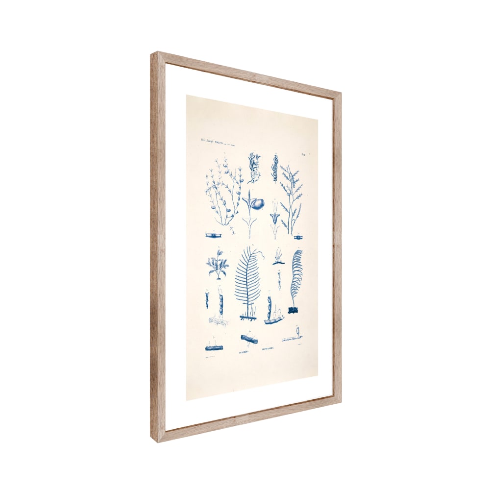 Tableau planche sea cadre en chêne massif 50 x 70 cm