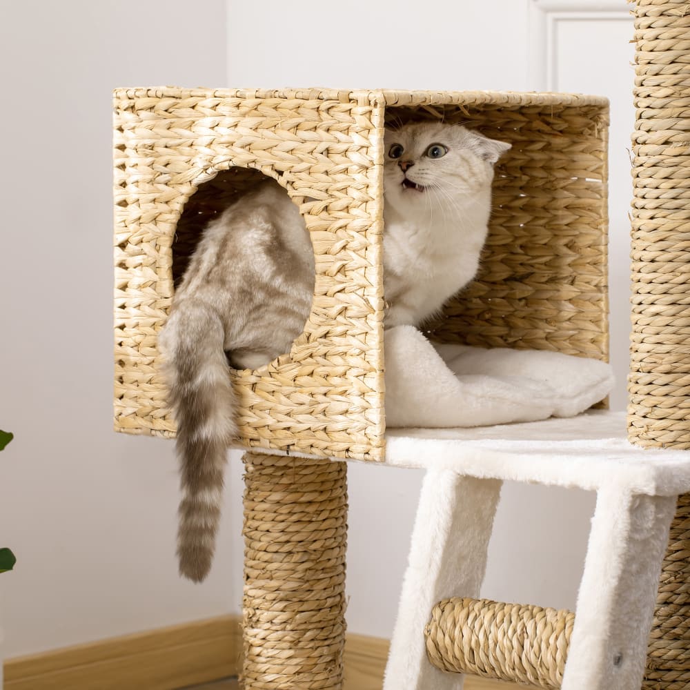 Arbre à Chat Panneaux de Particules Multicolore