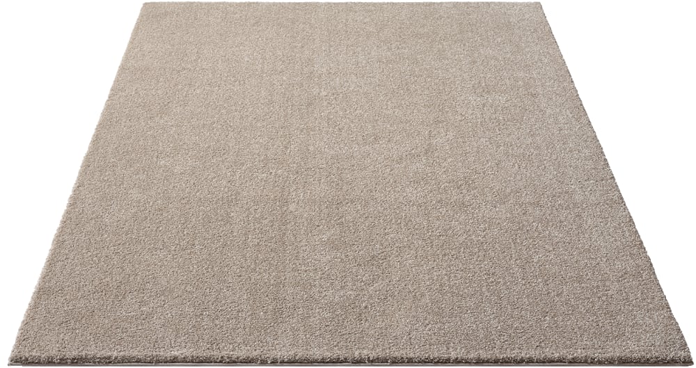 Tapis salon moderne moelleux, Beige, 60 x 110 cm — vue 3