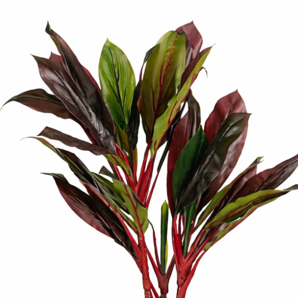 Kunstpflanze Cordyline Rot Kunststoff H90xB70xL70cm - Maisons Du