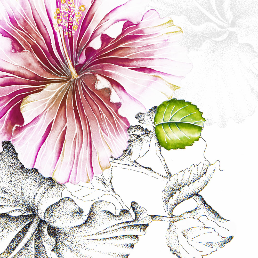 Papier peint panoramique Rose De Chine — vue 3