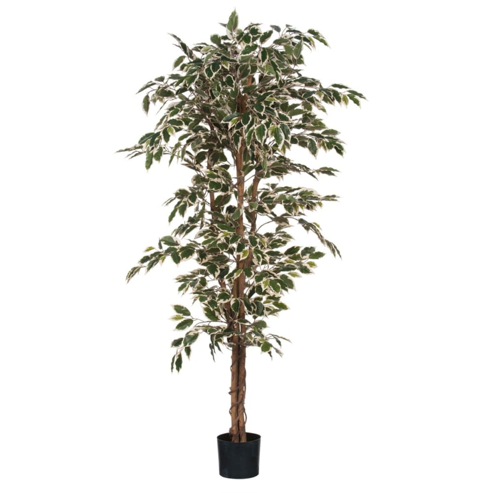 Plante artificielle vert plastique h180xl90xl90cm