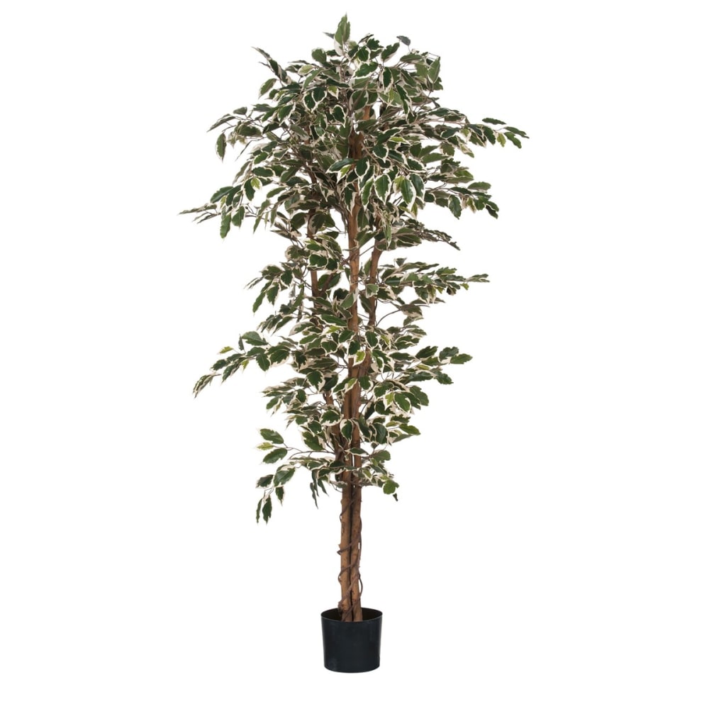 Plante artificielle vert plastique h180xl90xl90cm — vue 4