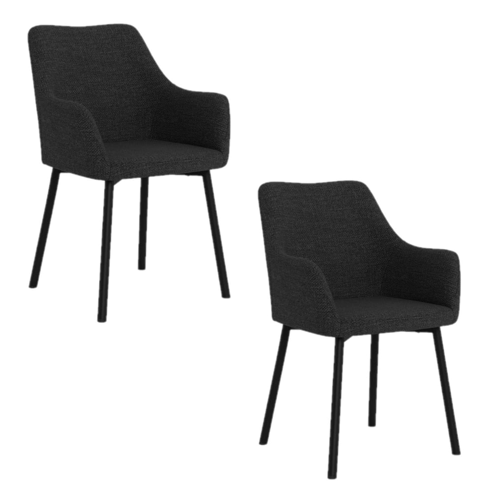 Lot de 2 chaises avec