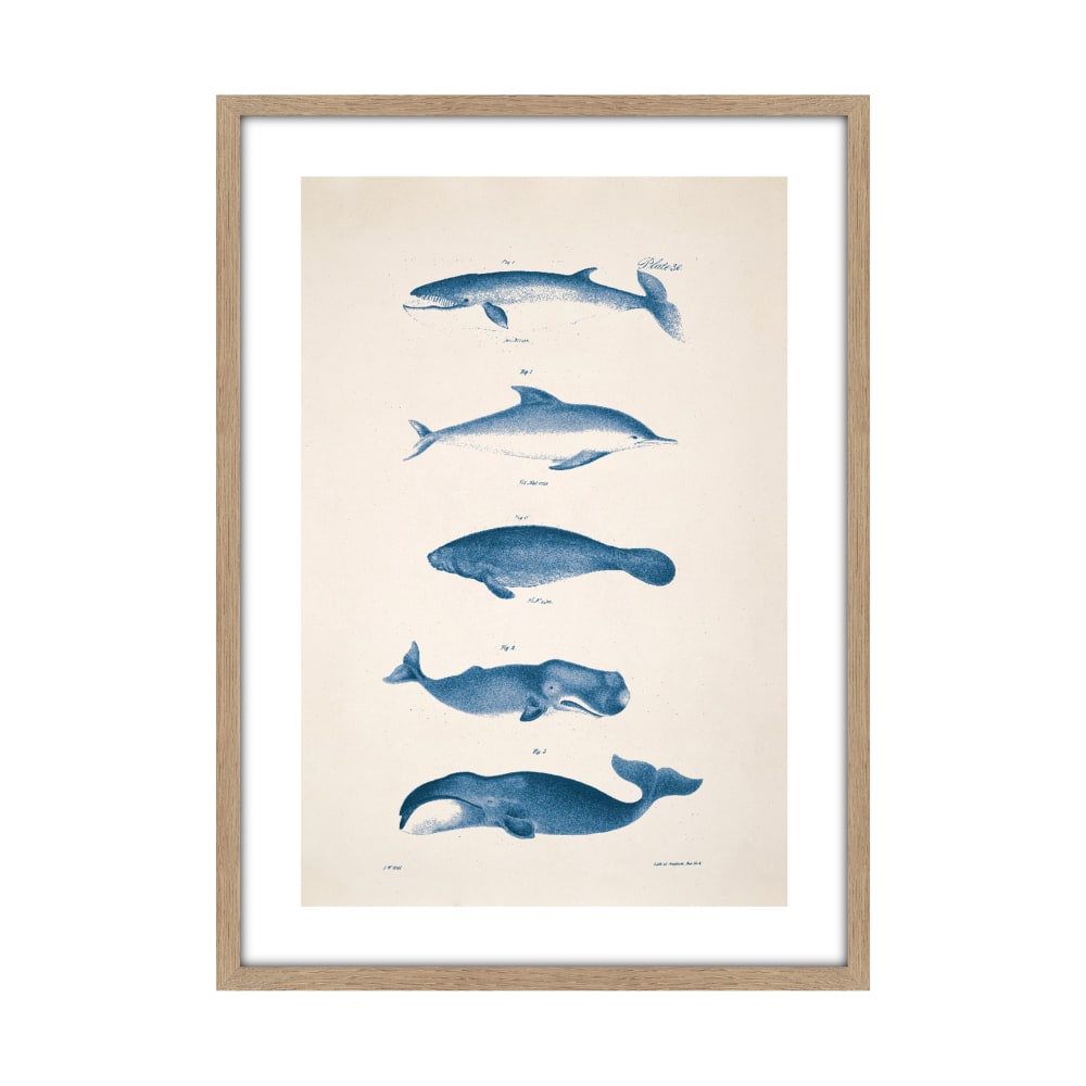 Tableau planche océan 50 x 70 cm bleu et beige