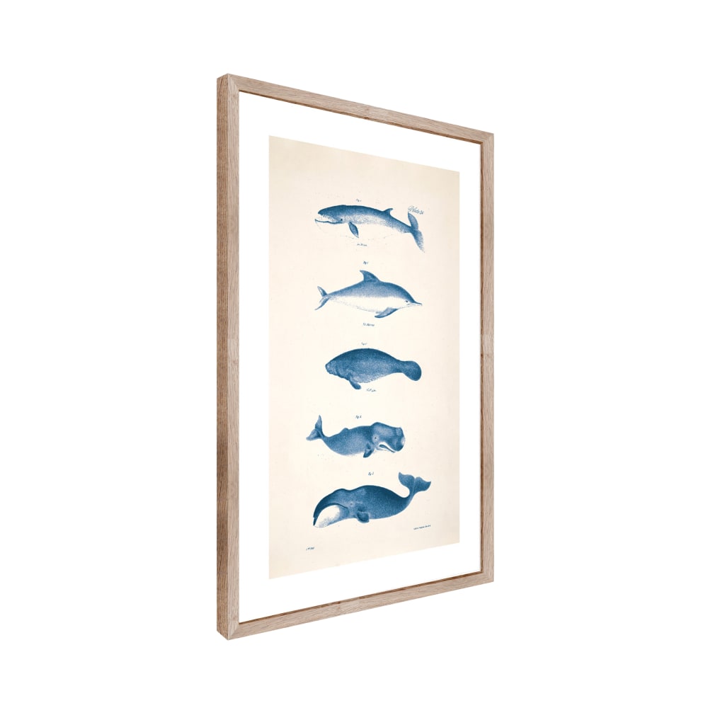 Tableau planche océan 50 x 70 cm bleu et beige