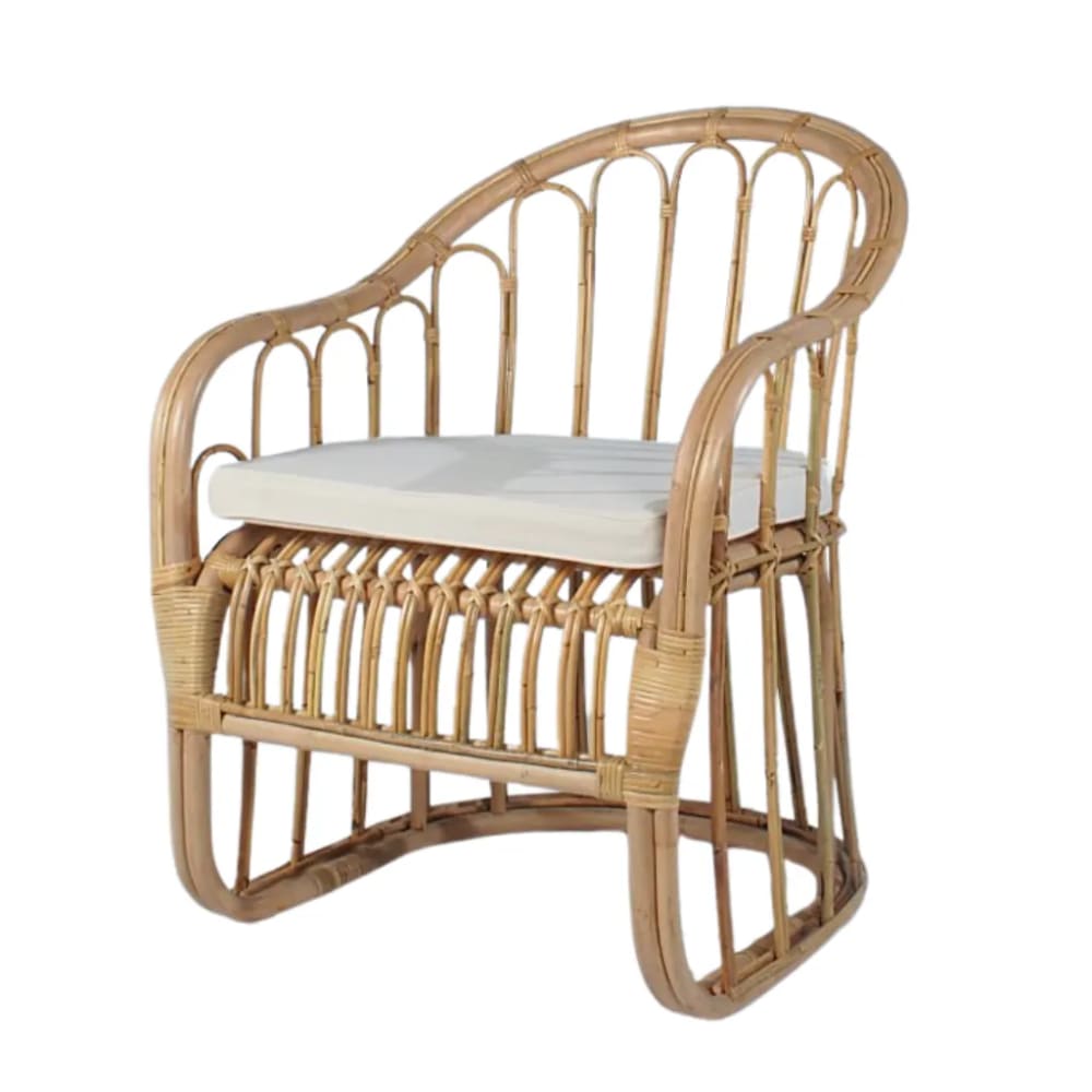 Fauteuil en rotin avec coussin d'assise