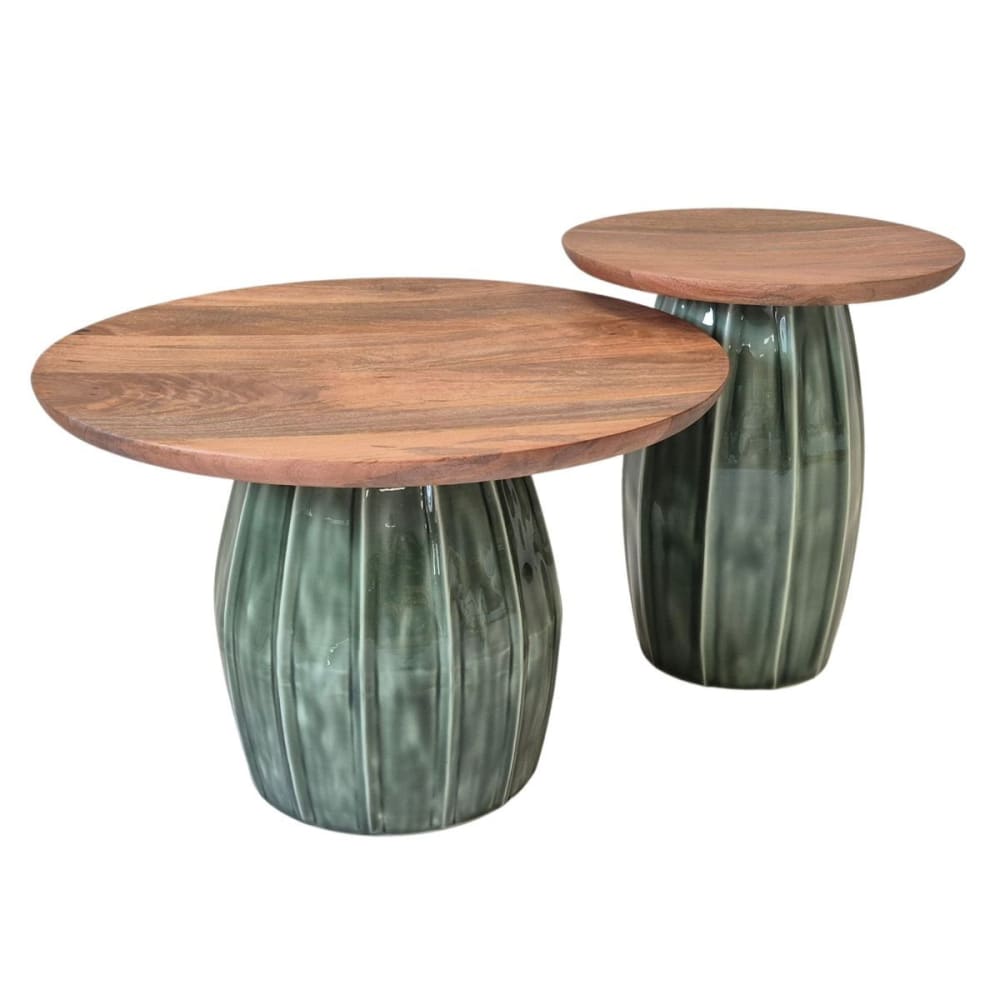 Lot de 2 tables basses