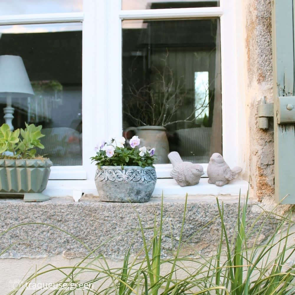 Jardinière ovale en ciment vieilli bleuté l.19 x l.11 x ht.11cm — vue 3