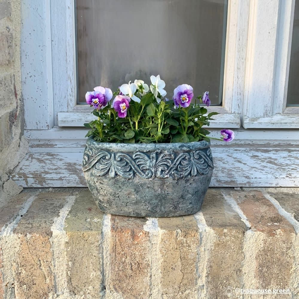 Jardinière ovale en ciment vieilli bleuté l.19 x l.11 x ht.11cm — vue 4