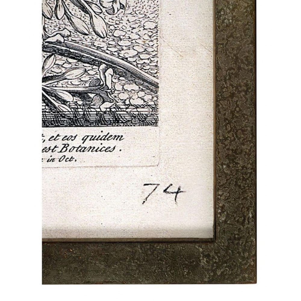 Tableau décoratif imprimé arbre 82x105 en bois gris