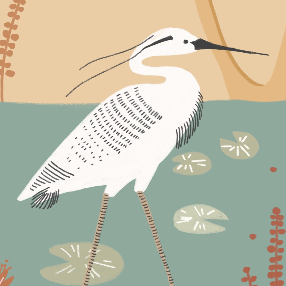 Papier peint panoramique Faune le long du Nil — vue 3