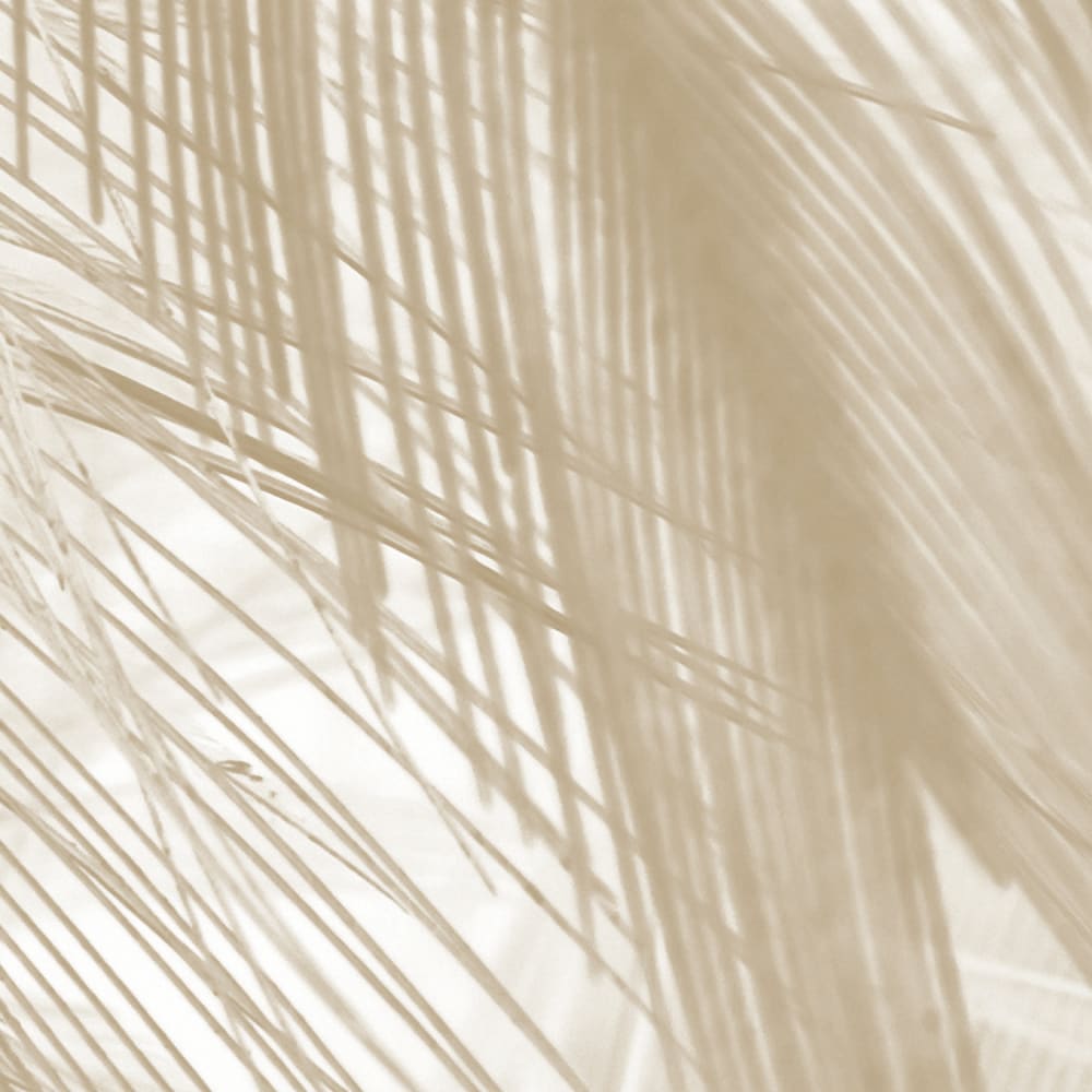 Papier peint panoramique Soft — vue 3