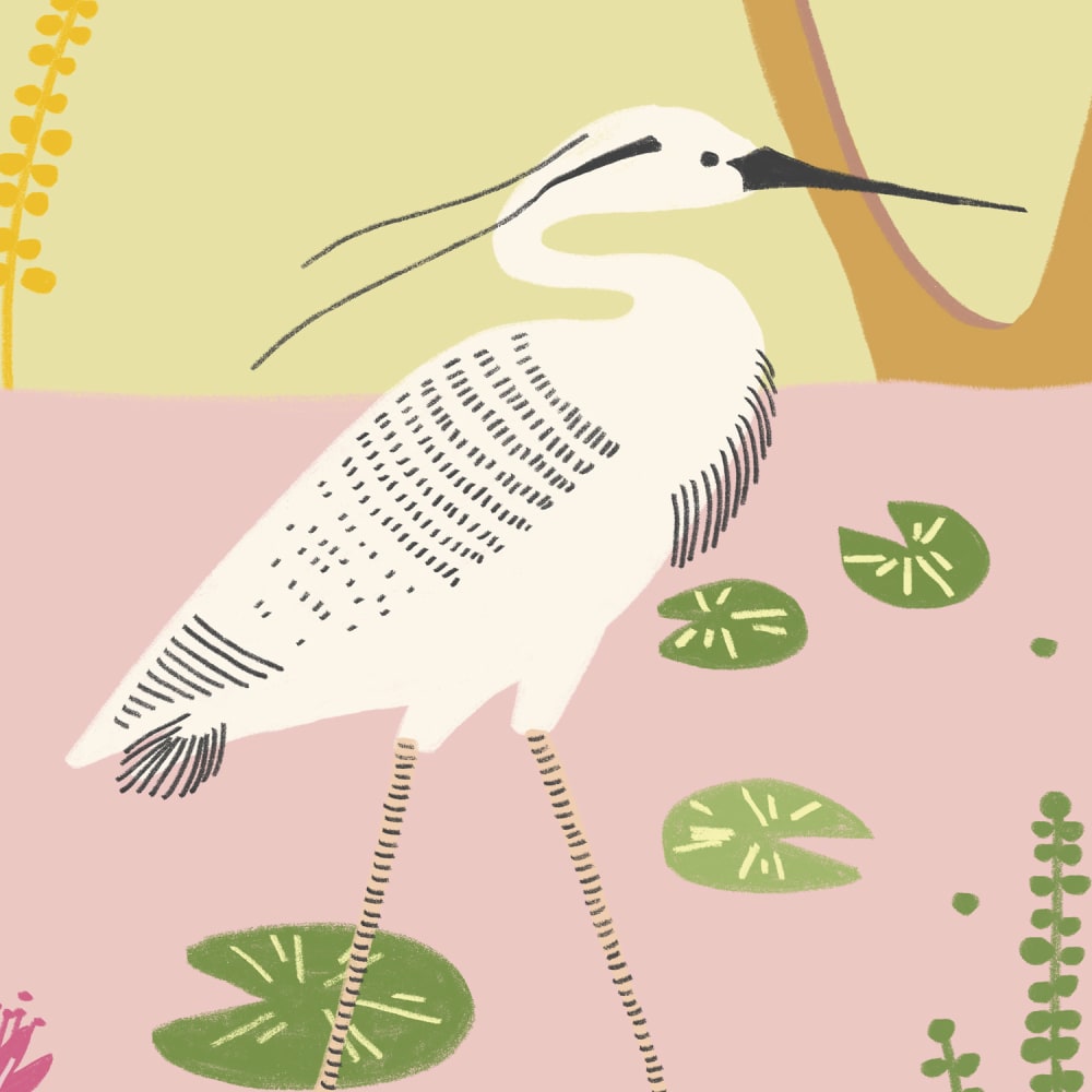Papier peint panoramique Faune le long du Nil — vue 3