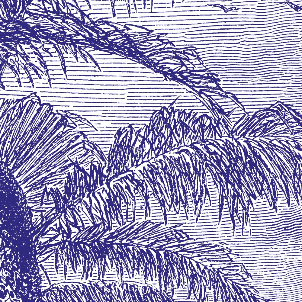 Papier peint panoramique Phoenix Blue — vue 3