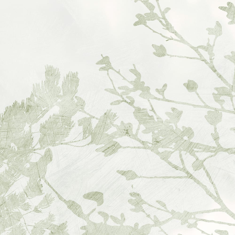 Papier peint panoramique Albero — vue 3