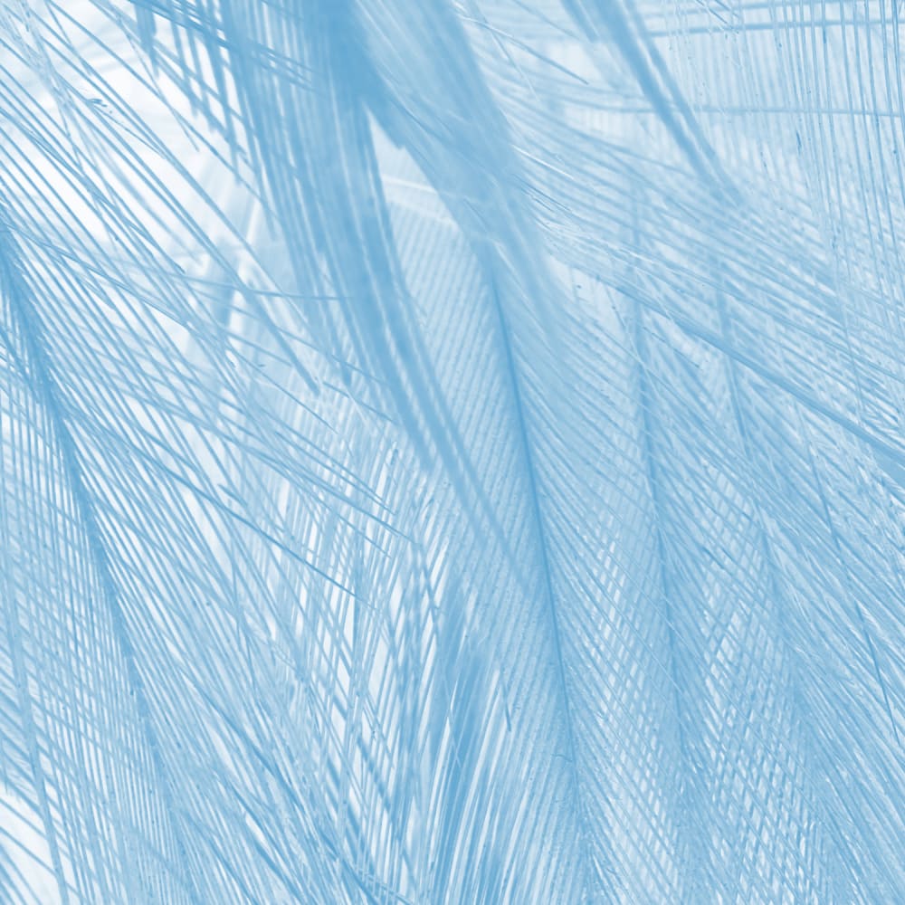Papier peint panoramique Soft — vue 3