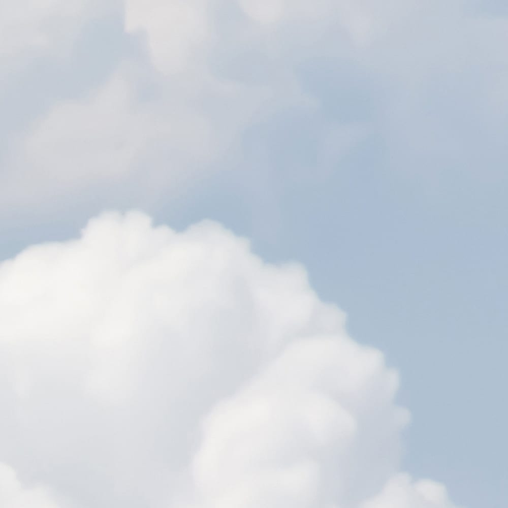 Papier peint panoramique Songeen — vue 3