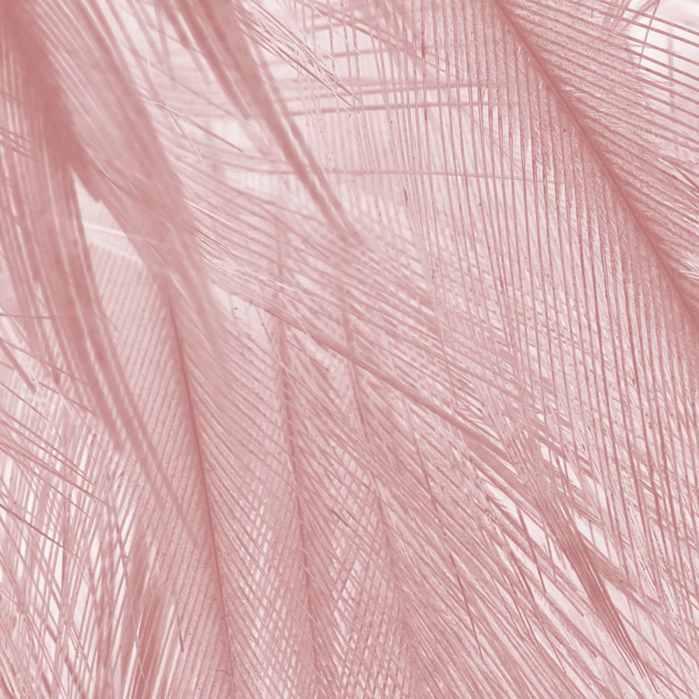 Papier peint panoramique Soft — vue 3