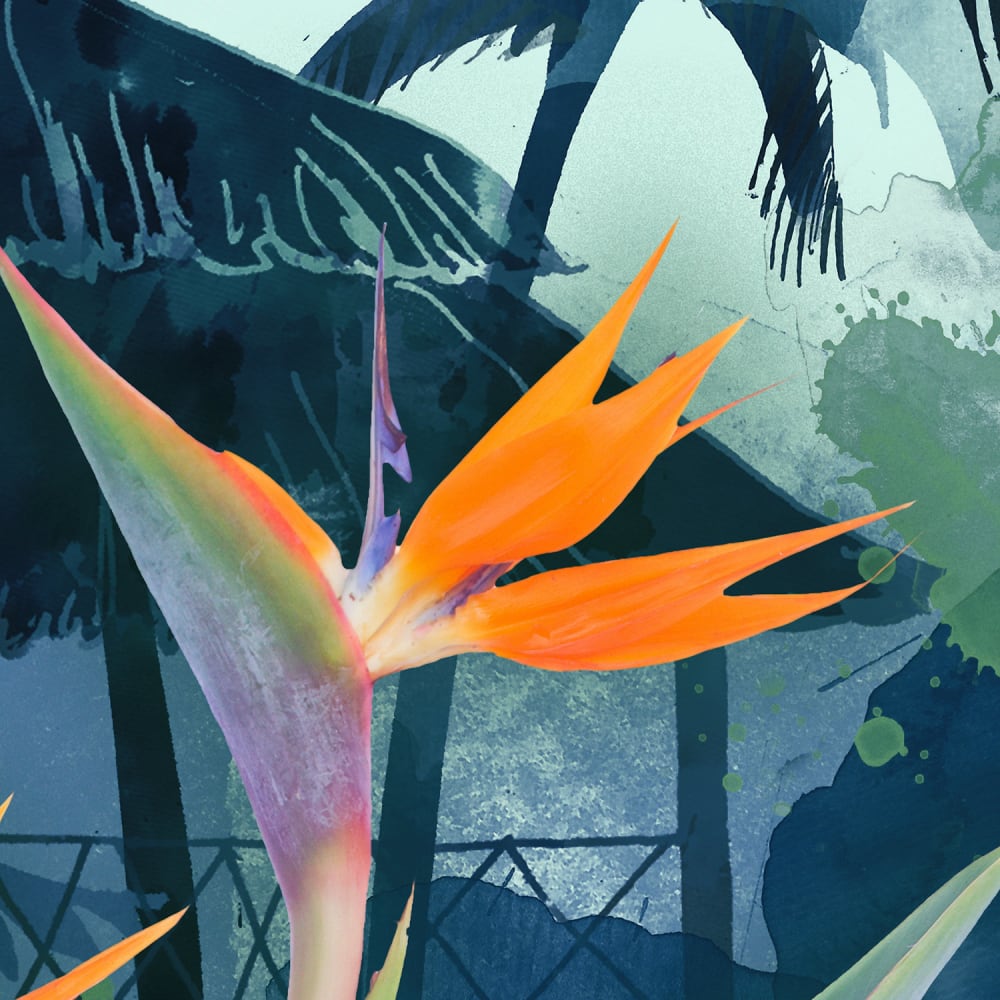 Papier peint panoramique Tropical Mood — vue 3