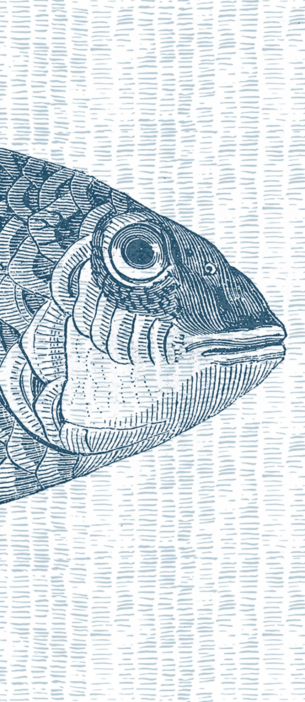 Papier peint panoramique Once Upon A Fish — vue 3