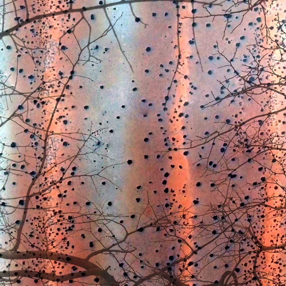 Papier peint panoramique Ash Trees — vue 3