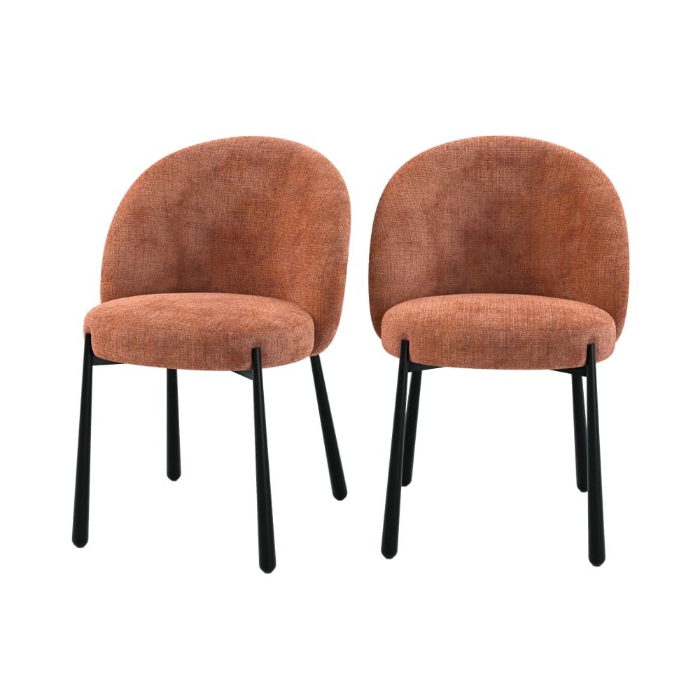 Lot de 2 chaises en velours