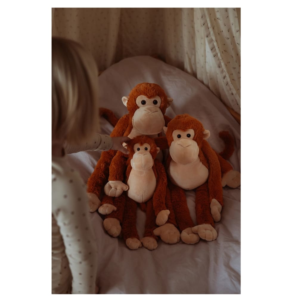Singe en peluche lesté 0,5 kg - Maisons du Monde