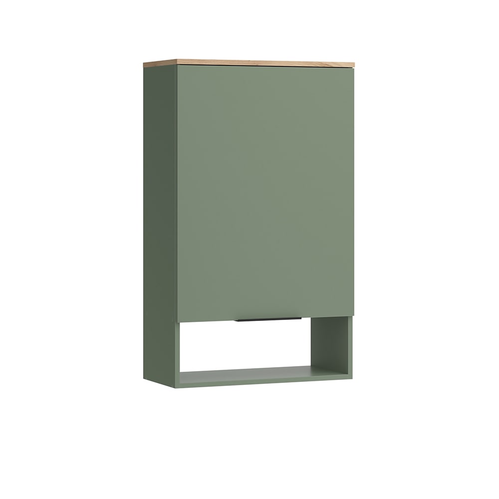 Vicco Hängeschrank mit Tür Grün 60x100cm style modern Grün Spanplatte