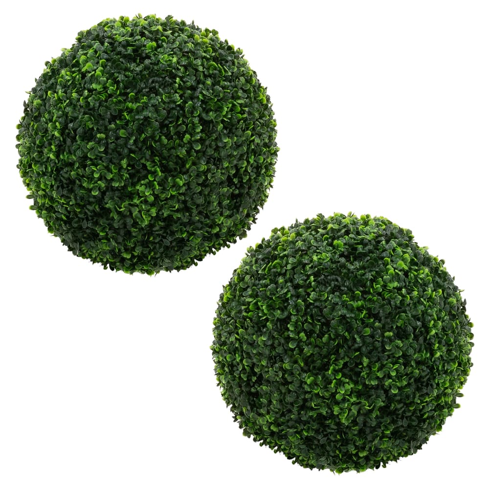 Lot 2 boules buis - plantes