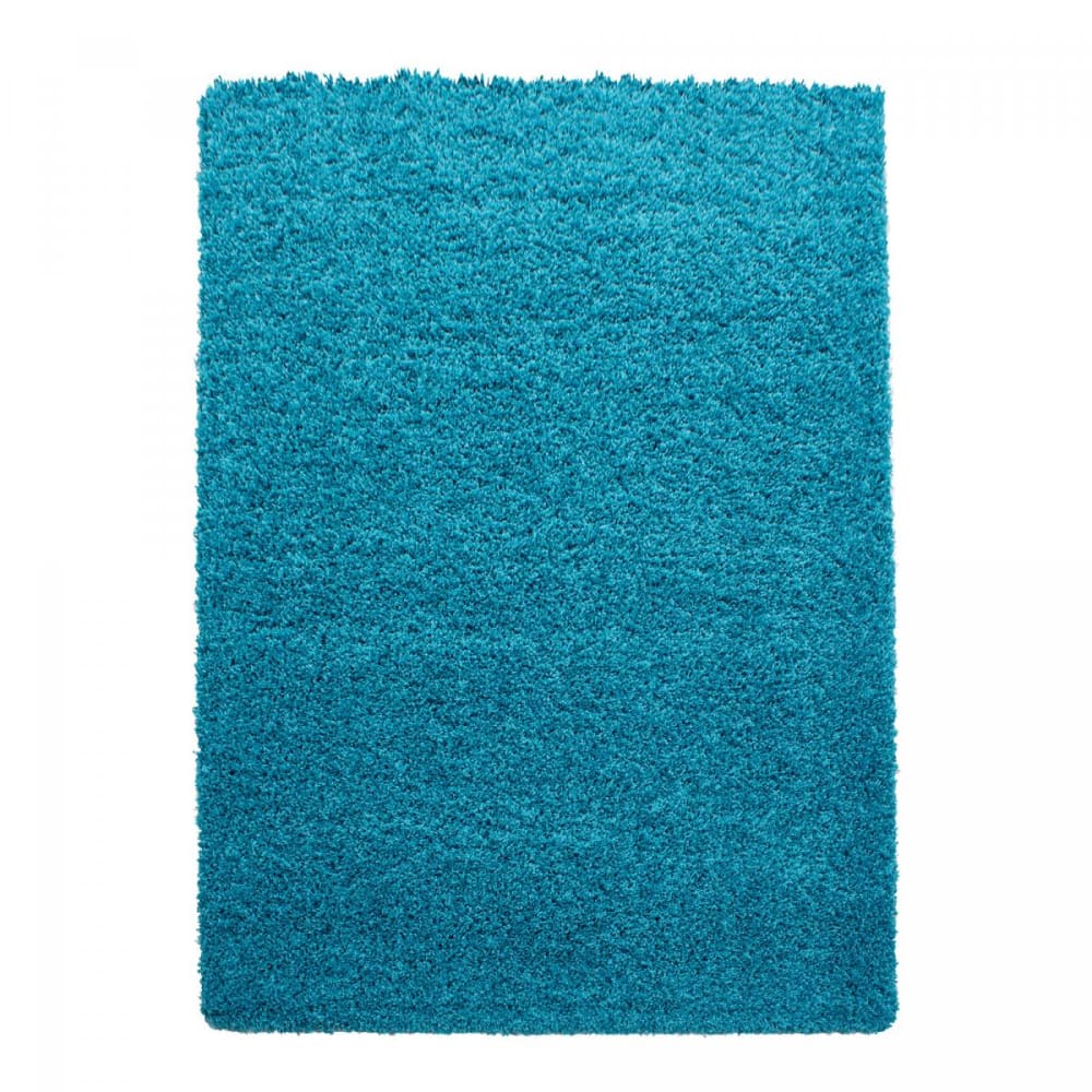 Tapis shaggy 120x170 - turquoise
