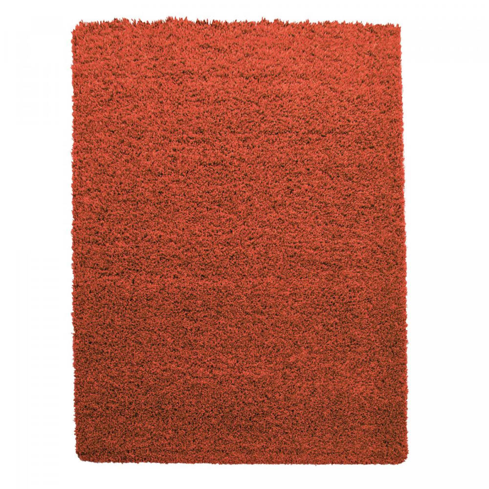 Tapis shaggy 120x120 - rond